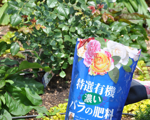 花ごころ濃いバラの肥料