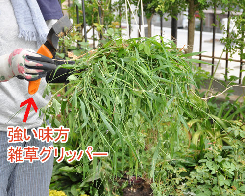 草引き