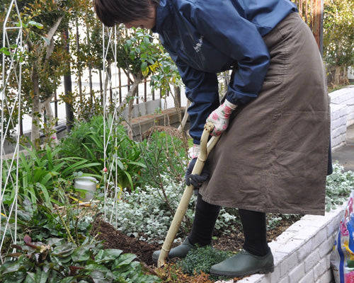地植えバラも土のメンテナンスを!
