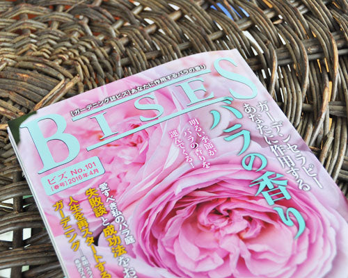 BISES春号