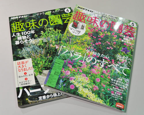 『趣味の園芸』4月、5月号に、このバラ載ってます!