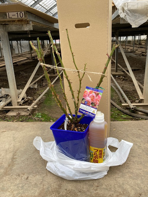 液肥・活力液 同梱キャンペーン