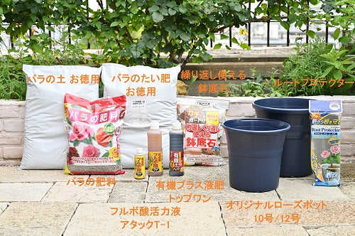 今年も、ポイント10倍!「植え替えキャンペーン」開始します!!(内容更新)