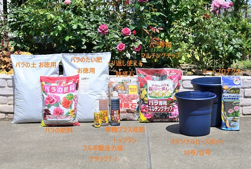 今年も、ポイント10倍!「植え替えキャンペーン」開始します!!