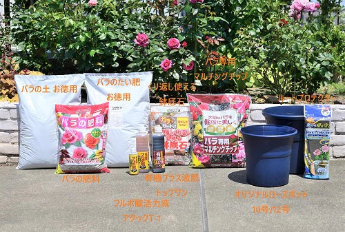 「冬の植え替えキャンペーン」開始します!