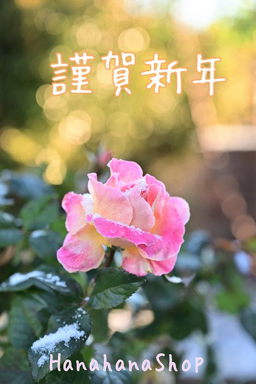 2022 新年あけましておめでとうございます!