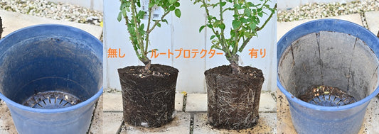 ルートプロテターの効果と使用方法