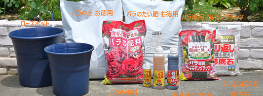 ポイント10倍!「植え替えキャンペーン」開始します!!