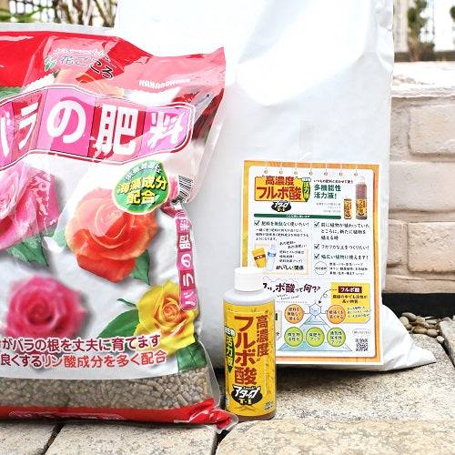 「冬の植替えキャンペーン」開催します!