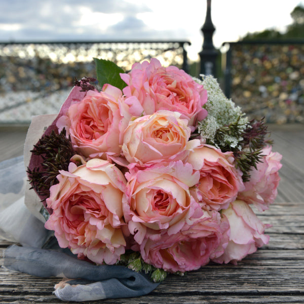 ペッシュ・ボンボン(長尺苗)