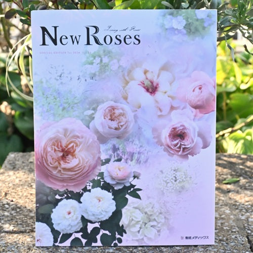 New Roses 2024スペシャル vol.34 はなはなショップ