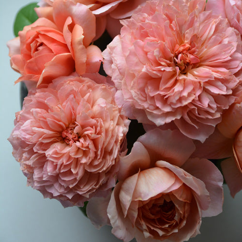 ムーラン・ド・ラ・ギャレット