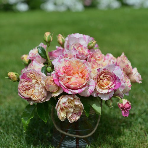 エドゥアール・マネ