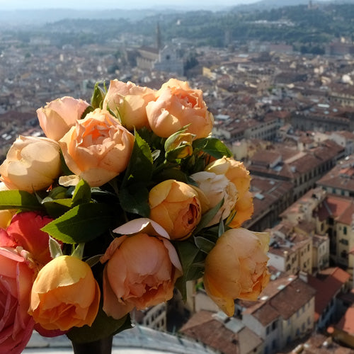 パオロ・ペイローネ・ジャルディニエレ