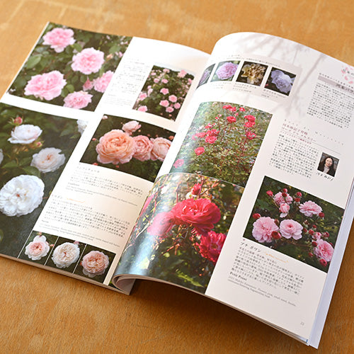 New Roses 2022春号 vol.31