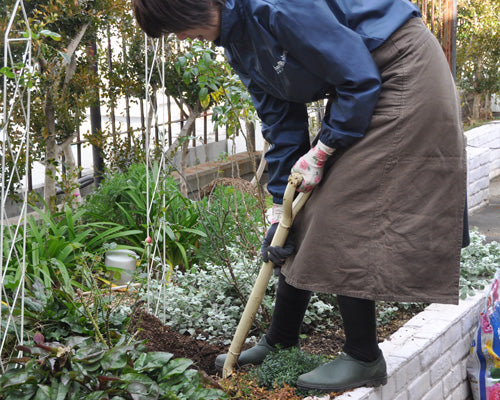 地植えバラも土のメンテナンスを！