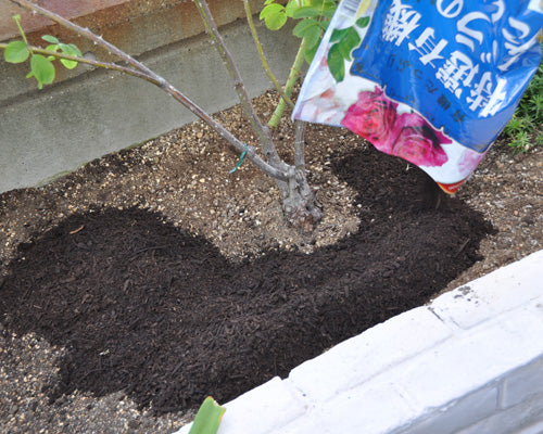 たい肥マルチング