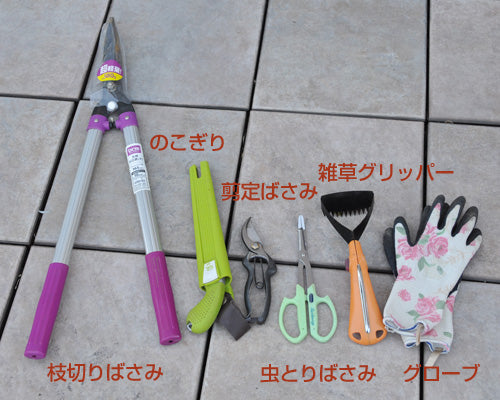 庭掃除の道具