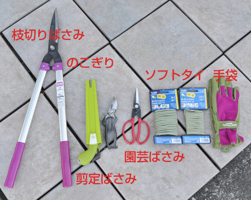 バラの誘引道具