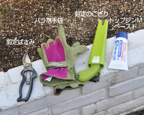 冬剪定の道具