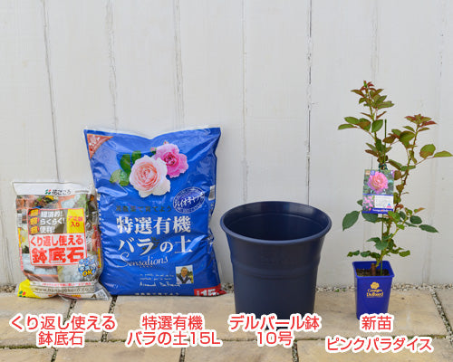 バラの植え替え