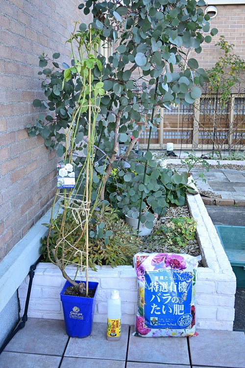 長尺苗の植え付け（庭植え）