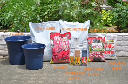 「春植え替えキャンペーン」を開始します！