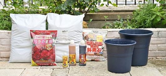 恒例の「冬の植え替えキャンぺーン」を開始します