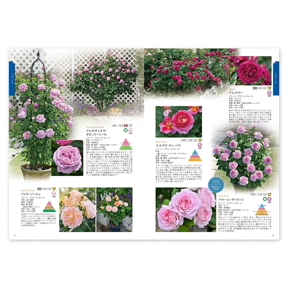 花ごころ　バラのカタログ【送料無料】