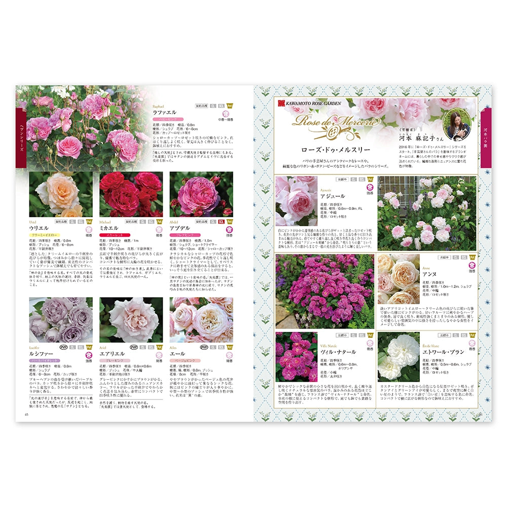 花ごころ　バラのカタログ【送料無料】