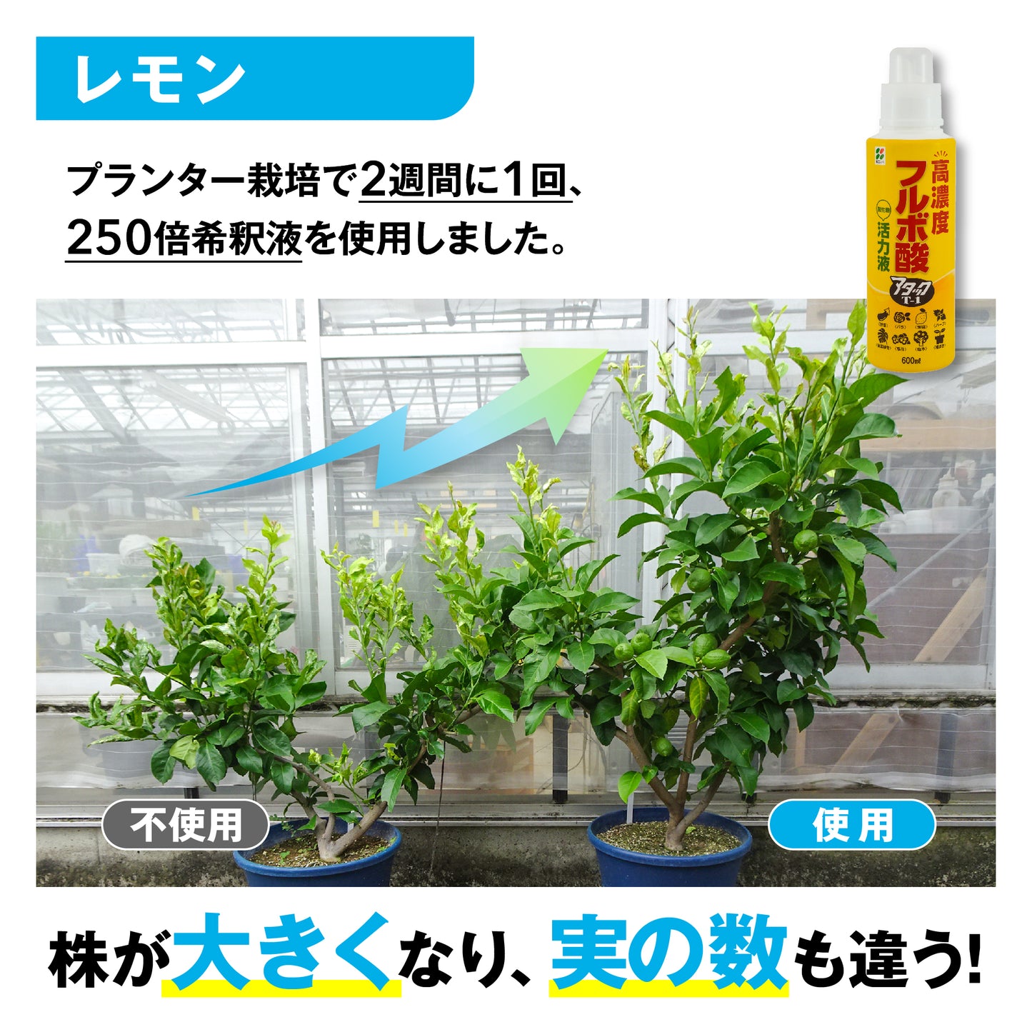 高濃度フルボ酸活力液 アタックT-1