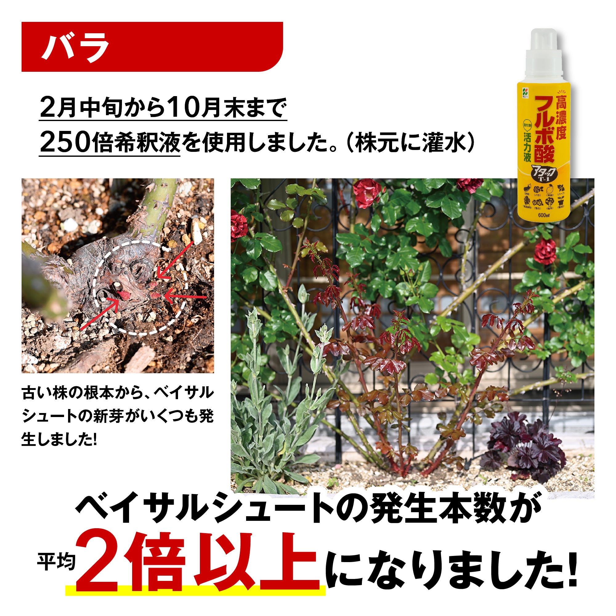 高濃度フルボ酸活力液 アタックT-1 – はなはなショップ