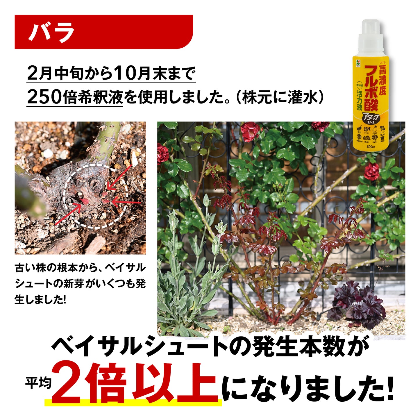 高濃度フルボ酸活力液 アタックT-1