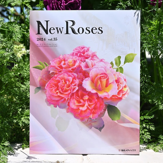 New Roses 2024春号 vol.35