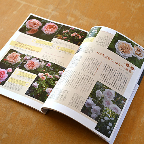 New Roses 2022春号 vol.31